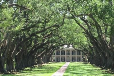 OakAlleyPlantationVacherieLA